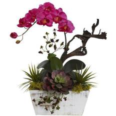 Nearly Natural Orchid & Succulent Garden with Wash Planter