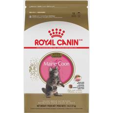 Royal Canin Cat Pets Royal Canin Maine Coon Kitten 1.4kg