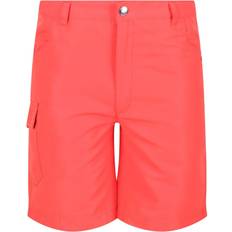 Multikleur Broeken Regatta Sorcer II Shorts - Neon Peach