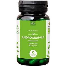 Andrographis