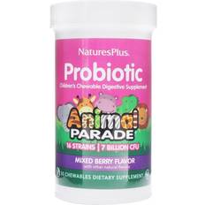 NaturesPlus Probiotic Children's Chewable Digestive Supplement Mixed Berry 30 Chewables