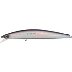 Daiwa Fishing Lures & Baits Daiwa Daiwa Salt Pro Minnow 6in Floating Purple Back Silver