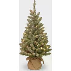 White Christmas Trees National Tree Company Snowy Concolor Fir Tree Christmas Tree 36"