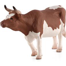 Mojo Simmental Ko