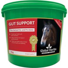 Global Herbs Gut Support 500g