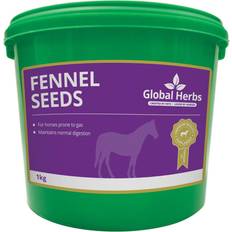 Global Herbs Fennel 1kg