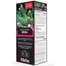 Red Sea Coral Colors C