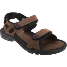 Brune - Dame Sportssandaler PDQ Mens Triple Touch Fastening Sports Sandals (9 UK) (Brown)