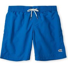 Grøn Badebukser O'Neill Badeshorts 'Vert'