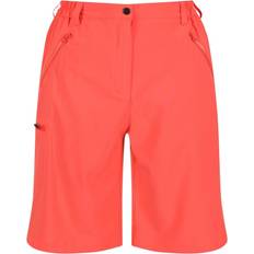 Orange - Women Shorts Regatta Womens/ladies Xert Stretch Shorts (black)