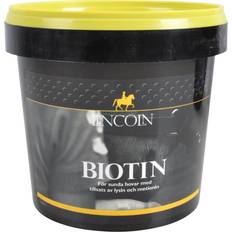 Biotin Lincoln Biotin 600g