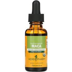Maca 1 fl oz (30 ml)