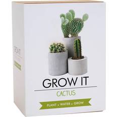 Grow it Gift Republic Grow It Cactus