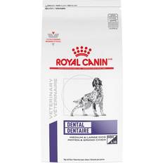 Royal Canin Dog Pets Royal Canin Dental Medium and Large 8kg
