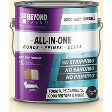 Arts & Crafts 1631514 1 gal All-in-One Interior & Exterior Acrylic Paint Off White