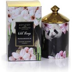 Apple Scented Candles Ashleigh & Burwood Wild Things Pandamonium Scented Candle 320g