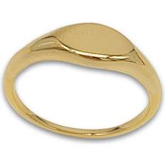 Jewelry Adornia Signet Ring