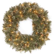 National Tree Company 24 "Artificial Wreath with Clear Lights Decoration