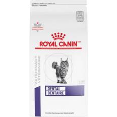 Royal Canin Cat Pets Royal Canin Feline Dental 3.5kg
