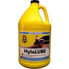 Vitamins & Supplements Hylalube Concentrate Apple Quart