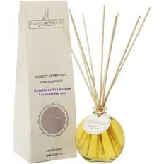 Rumduft Aromatic bouquet Lavender