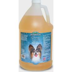 Bio-Groom Husdjur Bio-Groom Protein Lanolin 3.8L