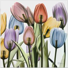 Glass Wall Decor Empire Art Direct Tulip X-Ray Glass Wall Decor 24x24"