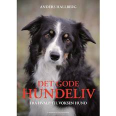 Det Gode Hundeliv (Inbunden, 2022)
