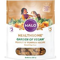 Holistic Healthsome Garden of Vegan Peanut N’ Pumpkin Dog Biscuit Treats