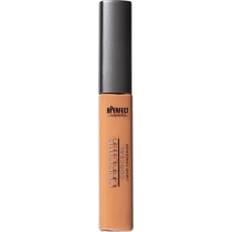 Chroma Conceal Liquid Concealer W6