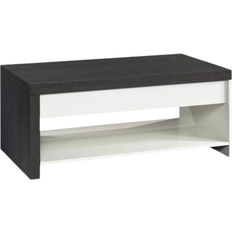 Sauder Hudson Court Coffee Table 23.5x41.5"