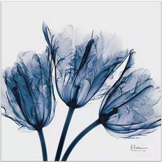 Glass Wall Decor Empire Art Direct Blue Tulip X-Ray Glass Wall Decor 61x61cm