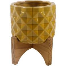 Pots, Plants & Cultivation Flora Bunda Dimple Ceramic Pot with Wood Stand ∅5"