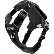 Kurgo Stash n' Dash Harness L