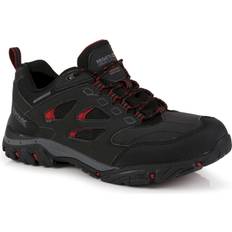 Con cordones Zapatos de paseo Regatta Holcombe Waterproof Low M - Ash Rio Red