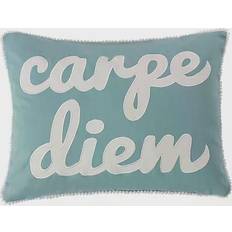 Textiles Levtex Home Tania Carpe Diem Complete Decoration Pillows Green (45.72x35.56)