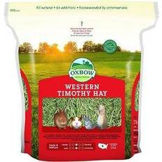 Western Timothy Hay