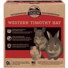 Western Timothy Hay