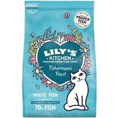 Visuitrustingen Lily's kitchen Cat fisherman&apos feast fish