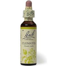 Vitamine e Integratori Bach Flower Clematis, 20ml