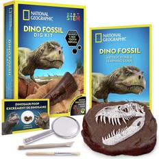 National Geographic Wetenschap & Magie National Geographic Dino Fossielen Opgravingsset