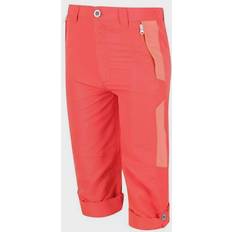 Randonnée Pantalons d'extérieur Regatta Sorcer V Mountain Enfant Short de Marche Orange