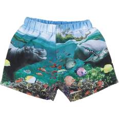 9-12M - Jungen Badehosen Molo Newton - Happy Baby Fish (8S22P303 7584)