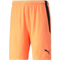 Puma TeamLIGA Shorts - Miesten