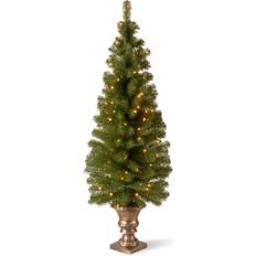 Gold Christmas Trees National Tree Company 5’ Pre-Lit Montclair Spruce Christmas Clear Lights Christmas Tree