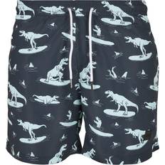 Polyester Badehosen Urban Classics Men's Pattern Swim Shorts Trunks, Surfing T-rex AOP