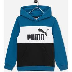 Puma Colorblock Hoodie FL - Grau