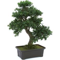 Bonsai Europalms Kunstig Bonsai, 61 cm Kunstig plante