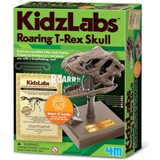 4M KidzLabs Roaring T-Rex Skull