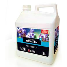 Red Sea Foundation C (Mg) (5L)